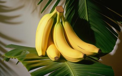 Calories in Banana